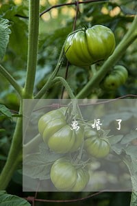 离婚了房子是儿子的父母怎么办 离婚了房子是儿子的父母怎么办