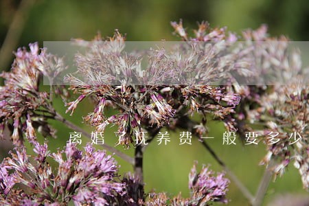 离婚了抚养费一般要多少 离婚了抚养费一般要多少
