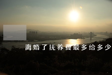 离婚了抚养费最多给多少