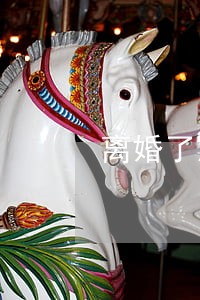 离婚了没有一个人同情自己 离婚了没有一个人同情自己