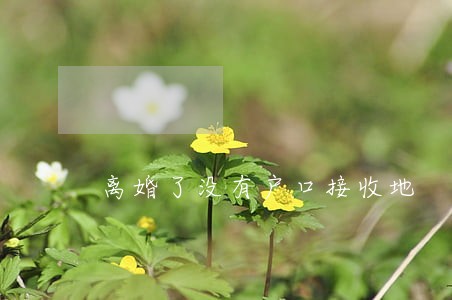 离婚了没有户口接收地 离婚了没有户口接收地