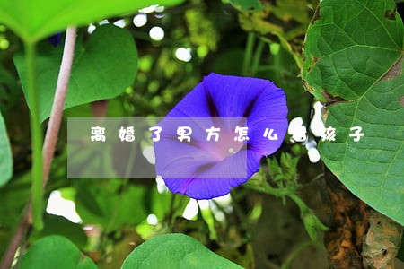 离婚了男方怎么看孩子 离婚了男方怎么看孩子