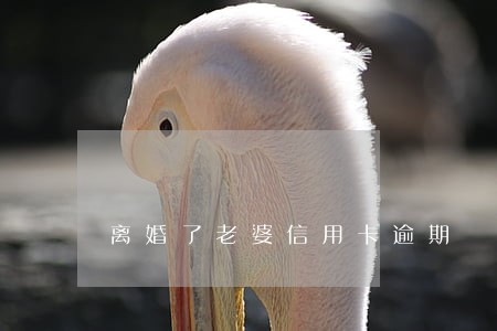 离婚了老婆信用卡逾期