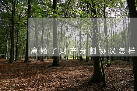 离婚了财产分割协议怎样写 离婚了财产分割协议怎样写