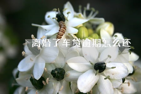 离婚了车贷逾期怎么还 离婚了车贷逾期怎么还