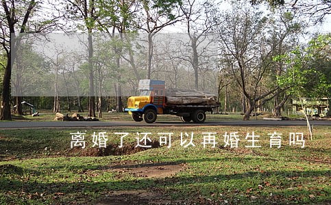 离婚了还可以再婚生育吗 离婚了还可以再婚生育吗