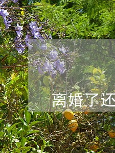 离婚了还能打掉孩子吗 离婚了还能打掉孩子吗