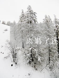 离婚了还负债40万逾期