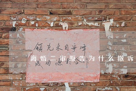 离婚二审原告为什么撤诉 离婚二审原告为什么撤诉