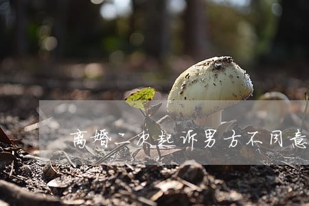 离婚二次起诉男方不同意怎么办 离婚二次起诉男方不同意怎么办