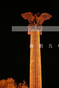 离婚五年现在不想结婚 离婚五年现在不想结婚