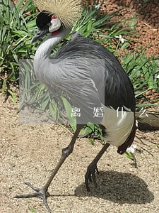 离婚什么都不要的女人说明什么