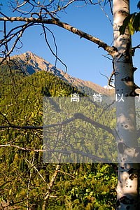 离婚以后几年不能买房子 离婚以后几年不能买房子