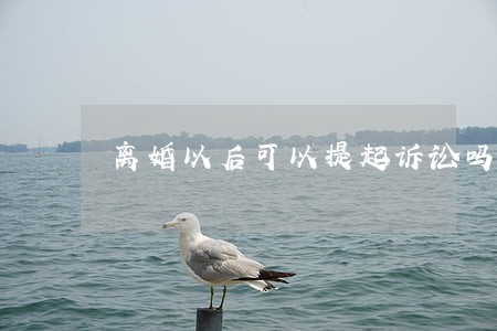 离婚以后可以提起诉讼吗 离婚以后可以提起诉讼吗