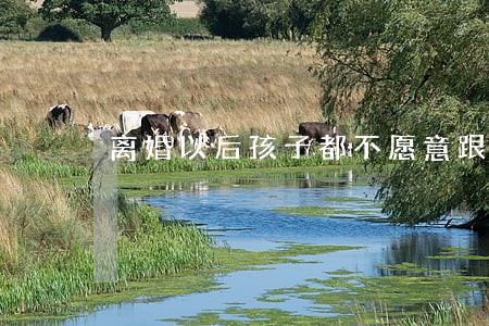 离婚以后孩子都不愿意跟女方 离婚以后孩子都不愿意跟女方