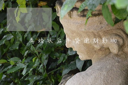离婚以后车贷逾期影响