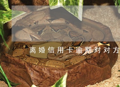 离婚信用卡逾期对对方有影响吗 离婚信用卡逾期对对方有影响吗