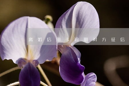 离婚信用卡逾期对方征信有影响吗 离婚信用卡逾期对方征信有影响吗