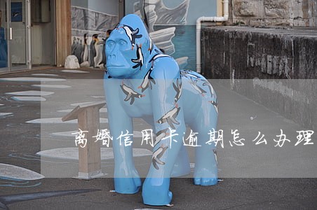 离婚信用卡逾期怎么办理 离婚信用卡逾期怎么办理