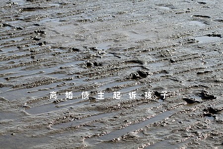 离婚债主起诉孩子 离婚债主起诉孩子