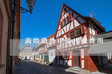 离婚债务律师代理费用