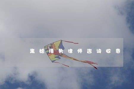 离婚债务律师咨询收费