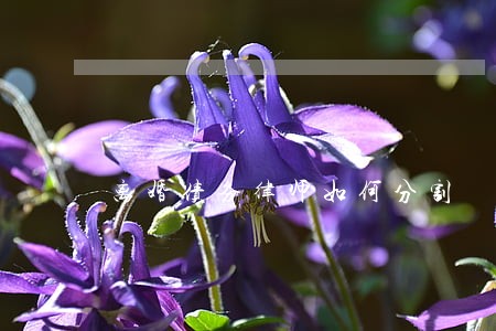 离婚债务律师如何分割 离婚债务律师如何分割