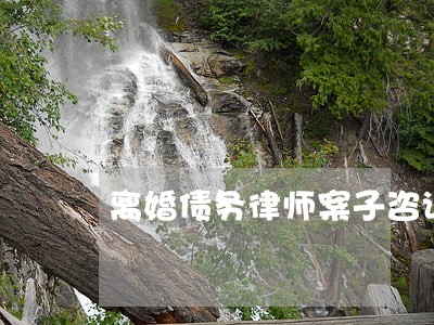 离婚债务律师案子咨询 离婚债务律师案子咨询