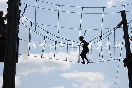 离婚债务律师要多少钱 离婚债务律师要多少钱