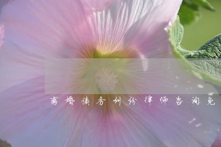离婚债务纠纷律师咨询免费 离婚债务纠纷律师咨询免费