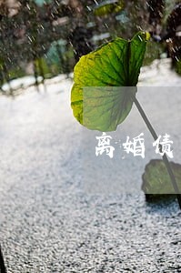 离婚债务纠纷起诉后多久执行 离婚债务纠纷起诉后多久执行