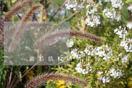 离婚债权债务律师咨询 离婚债权债务律师咨询
