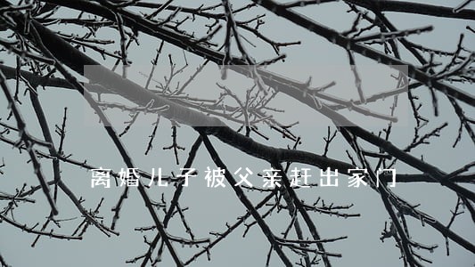 离婚儿子被父亲赶出家门