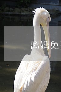 离婚免费律师咨询