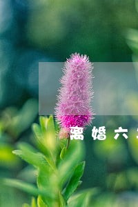 离婚六年了还有感情 离婚六年了还有感情