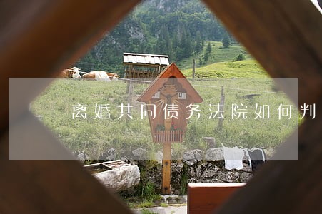 离婚共同债务法院如何判决 离婚共同债务法院如何判决
