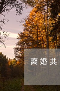 离婚共同抚养孩子协议 离婚共同抚养孩子协议