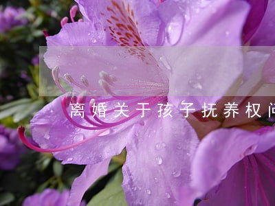 离婚关于孩子抚养权问题的咨询 离婚关于孩子抚养权问题的咨询