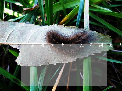 离婚其中一人不同意怎么办 离婚其中一人不同意怎么办