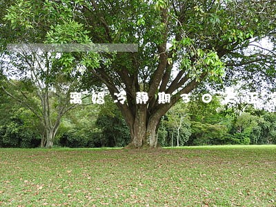 离婚冷静期30天正常吗 离婚冷静期30天正常吗