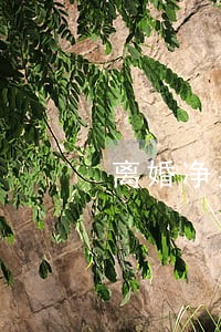 离婚净身出户协议无效 离婚净身出户协议无效