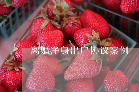离婚净身出户协议案例