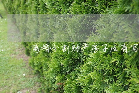 离婚分割财产房子没有写进去 离婚分割财产房子没有写进去