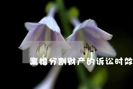 离婚分割财产的诉讼时效是 离婚分割财产的诉讼时效是