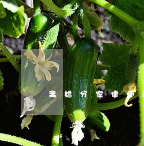 离婚分家律师咨询网站 离婚分家律师咨询网站