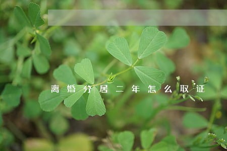 离婚分居二年怎么取证 离婚分居二年怎么取证