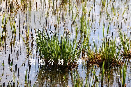 离婚分财产难 离婚分财产难