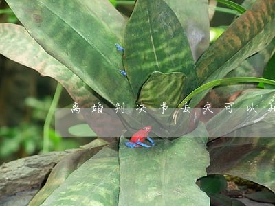 离婚判决书丢失可以托人重办吗 离婚判决书丢失可以托人重办吗