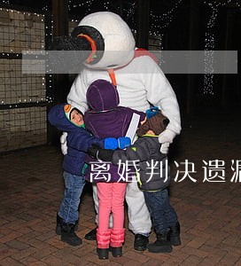 离婚判决遗漏诉讼请求 离婚判决遗漏诉讼请求