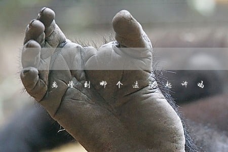 离婚到哪个法院起诉吗
